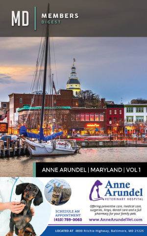 Anne Arundel MD