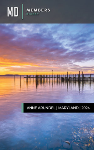 Anne Arundel MD
